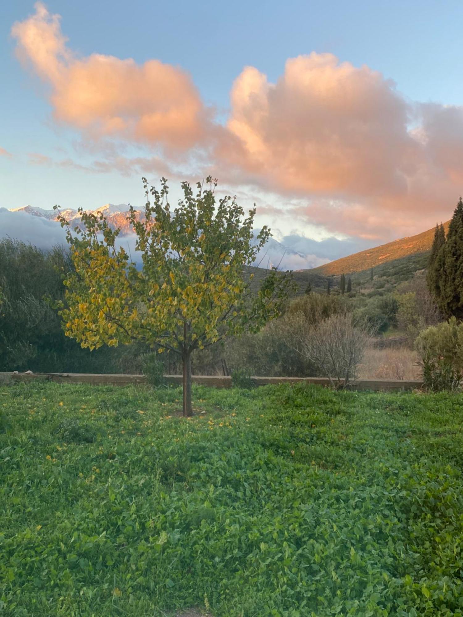 Stellas Guesthouse Near Arachova Stirion Exterior foto